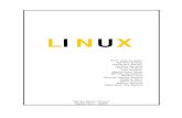 LINUX - tvprudente.com.br · Linux, sendo incluindo a ... avançados da Conectiva Linux. Nessa opção o sistema não fará detecção de hardware, ... os serviços, de acordo com
