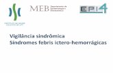 Vigilância sindrômica Síndromes febris ictero …epi.uff.br/wp-content/uploads/2013/08/aula-5-vig-sindromica1.pdf · Síndrome febril inespecífica Anictérica Mialgias intensas