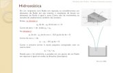 Hidrostática - eduloureiro.com.breduloureiro.com.br/index_arquivos/mfaula2.pdf · de material elástico curvo (tubo de Bourdon), que é conectado à fonte de pressão. À medida