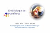 Embriologia de Mamíferos - dcm.uem.br · Embriologia desenvolvimento,desenvolvimento,desde desdeooestágioestágioddeeovoovo ... Sistema cardiovascular primitivo. Vilosidades Coriônicas.