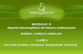 MODULO 9 Aspectos bioenergéticos del sistema cardiovascular · SISTEMA CARDIOVASCULAR MODULO 9 Aspectos bioenergéticos del sistema cardiovascular SISTEMA CARDIOVASCULAR CLASE 1