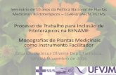 Processo de Trabalho para Inclusão de Fitoterápicos …portalarquivos.saude.gov.br/.../29/pesquisador-ufvjm-10-anos-pnpmf.pdf · Sinopse •Monografias de Plantas Medicinais: Calendula