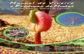 Manual de Viveiro e Producao de Mudas - Agropedia … · E-mail: contato@rsc.org.br semeando@rsc.org.br   Nenhuma parte desta publicação poderá ser …