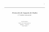 Protocolo de Ligação de Dados - web.fe.up.ptjruela/redes/serial/lig_dados_v1011_mieec.pdf · Protocolo de Ligação de Dados – especificação • O protocolo a implementar reúne