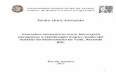Pedro Lima Sampaio - LETC/UFRJletc.biof.ufrj.br/sites/default/files/publicacoes/M 2011 Pedro... · Análise de cianopeptídeos por Cromatografia Líquida em Alta Resolução 42 3.4.6.