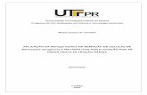 Universidade Tecnológica Federal do Paraná …repositorio.utfpr.edu.br/jspui/bitstream/1/1197/1/CT_PPGCTA... · 11. Toxicologia ambiental. 12. Tecnologia ambiental - Dissertações.