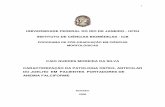 UNIVERSIDADE FEDERAL DO RIO DE JANEIRO - …livros01.livrosgratis.com.br/cp088218.pdf · avaliação por radiografia simples e ressonância nuclear magnética do joelho. ... 15,7%