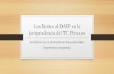 Los límites al DAIP en la jurisprudencia del TC Peruano · inviolabilidad del domicilio, y la libertad de reunión y de tránsito en el territorio comprendidos en los incisos 9,