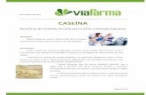 CASEÍNA - viafarmanet.com.br · Página 1 de 6 ... e durante fase de dietas. A caseína pode ajudar a regular o tempo de ... precursor dos neurotransmissores de ...