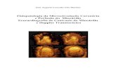 Fisiopatologia da Microcirculação Coronária e Perfusão … J Coucello TD... · 2.2 Anatomia e Arquitectura da Rede Vascular Coronária ... seu elevado espírito crítico e uma