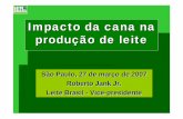 Impacto da cana na produção de leite - leitebrasil.org.br da cana na produção de... · Impacto da cana na produção de leite São Paulo, 27 de março de 2007 Roberto Jank Jr.