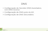 Configuração de Servidor DNS Autoritativo com DNS reverso · Assistente de Nova Zona Nome da zona Qual é o nome da nova zone? O nome de zona especifca a parte do namespace DNS