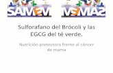 Sulforafano del Brócoli y las EGCG del té verde. - …samem.es/wp-content/uploads/2016/02/1300-02-mjose-alonso... · Curcumina Capsaicina Epilogalocate-quina-3-galato Licopeno Sulforafano