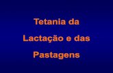 Tetania da Lactação e das Pastagens - fcav.unesp.br€¦ · intoxicação por estricnina. Patologia Clínica
