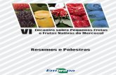 Empresa Brasileira de Pesquisa Agropecuária - …delbutia.com/wp-content/uploads/2015/04/Pequenas-frutas-2014.pdf · Fotos da capa: Paulo Lanzetta 1ª ... Las tres microempresas