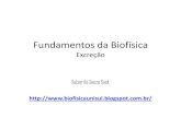 Fundamentos da Biofísica Introdução - fisio-tb.unisul.brfisio-tb.unisul.br/biofisica/excrecao.pdf · Fundamentos da Biofísica Excreção Kelser de Souza Kock