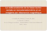 La radio-anatomie de la fosse ischio-rectale en ...pe.sfrnet.org/Data/ModuleConsultationPoster/pdf/2011/1/0aad91eb-9c... · La radio-anatomie de la fosse ischio- ... de l’anus qui