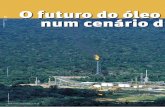 O futuro do óleo e gás /2007 num cenário d e …geocompany.com.br/ftp/especial_oleo_gas.pdf · maioria das suas ações à PDVSA. ... ma integrado de planejamento de recursos –