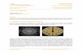 Círculos mágicos - Le-Mathle-math.eu/assets/templates/site/wp/wp2B/15199fe14a290f.pdf · ochos y nueves): cuatro palos –bastos, espadas, oros y copas–, y dentro de cada palo