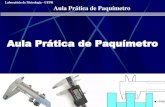 Aula Prática de Paquímetro - metrologia.ufpr.br · NBR NM 216 (2000) – Paquímetro e paquímetro de profundidade – Características construtivas e requisitos metrológicos –