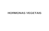 HORMONAS VEGETAIS - files.tas4.webnode.ptfiles.tas4.webnode.pt/.../HORMONASVEGETAIS.pdf · hormonas vegetais foram descobertas e classificadas de acordo com os efeitos que causam