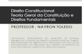 Direito Constitucional Teoria Geral da Constituição e ... · criada pelo jurista chileno Sergio Gamonal Contreras, pelo qual, ao lado das garantias constitucionais do cidadão frente