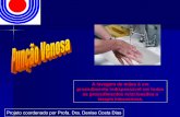 A lavagem de mãos é um procedimento indispensável … · indicado para terapia I.V. de curta duração. A desvantagem é a maior incidência de infiltrações por ser um dispositivo