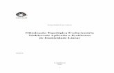 Otimização Topológica Evolucionária Multiescala …pava/publications/... · C129o Cal Otimização topológica evolucionária multiescala aplicada a problemas de elasticidade