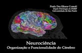 Neurociência - edisciplinas.usp.br · Neurociência e Neurobiologia Tradicionalmente vista como um ramo da Biologia, sendo atualmente uma ciência interdisciplinar que colabora com
