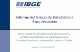 Informe del Grupo de Estadísticas Agropecuarias - … · Países miembros del grupo de trabajo Brasil, Argentina, Bolivia, Chile, Colombia, Costa Rica, Ecuador, México, Panamá,
