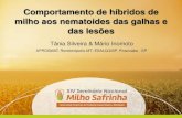 Comportamento de híbridos de milho aos nematoides …snms2017.fundacaomt.com.br/assets/apresentacoes/201712/... · Experimentos a campo e populações elevadas Experimentos em casa