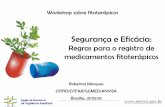 Segurança e Eficácia - Sociedad Latinoamericana de ...fitomedicina.org/old/archivos/brasil___seguridad_y_eficacia_2010.pdf · • Modelo de monografia para as plantas medicinais.