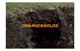 Organossolos [Modo de Compatibilidade] · 1. ORGANOSSOLOS Conceito: Solos pouco evoluídos, com preponderância de características devidas ao material orgânico, resultantes de acumulações