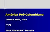 América Pré - Colombiana - lasalle.edu.br fileGuatemala, Honduras, Belize) ... # Divisão em clãs (Calpuli) # Conselho # Monarca Hereditário (auxiliado por 03 guerreiros) # Guerras