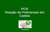 PCR Reação de Polimerase em Cadeia - einsteinlimeira.com.br · • Formação de alça GAACTACCACTGAAGATACTTCAGT o HO TGACTTC T m = 71 C ACTGAA ... ETAPAS DO PCR 1. Adição de