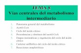 Vías centrales del metabolismo intermediario - uv.esmcostell/documentos/Tema8.pdf · (modificación covalente reversible catalizada por una quinasa y una fosfatasa) El estado energético