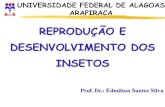 REPRODUÇÃO E DESENVOLVIMENTO DOS INSETOS · reproduÇÃo e desenvolvimento dos insetos prof. dr.: edmilson santos silva universidade federal de alagoas arapiraca
