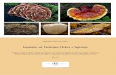 Cogumelos em Fitoterapia: Eficácia e Segurança · COGUMELOS COM PROPRIEDADES MEDICINAIS ... MTC - Medicina Tradicional Chinesa ... Na China é conhecido por Yun Zhi e no Norte da