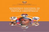 PREVENÇÃO E TRATAMENTO DE FÍSTULA OBSTÉTRICA · estratÉgia nacional de prevenÇÃo e tratamento de fÍstula obstÉtrica 2012 repÚblica de moÇambique ministÉrio da saÚde direcÇÃo