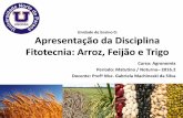 Unidade de Ensino 0: Apresentação da Disciplina Fitotecnia: … · • Atributos do solo para o cultivo de trigo, Rotação de culturas aplicada à cultura do trigo, Calagem e adubação
