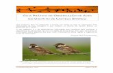 GUIA PRÁTICO DE OBSERVAÇÃO DE AVES NO DISTRITO DE …avesdeportugal.info/files/Guia_pr_tico_de_observa_o_de_aves_no... · observação de aves: o Parque Natural do Tejo Internacional