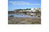 Guia da Fauna e Flora do Intertidal JOÃO SENDÃO ...rcastilho.pt/DA/Bibliografia_files/Guia_Olhos de_Água.pdf · Universidade do Algarve. INTRODUÇÃO: A . Praia de Olhos de Água.