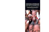 CIDADANIA E GOVERNAÇÃO EM MOÇAMBIQUE · UMA PROVíNCIA “REBELDE” O SIGNIFICADO DO VOTO ZAMBEZIANO ... sobre governo e democracia 122 Níveis de consciência cognitiva dos Moçambicanos