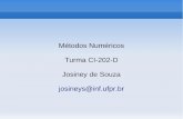 Métodos Numéricos Turma CI-202-D Josiney de Souza josineys ... · digital, representa-se um número real com a aritmética de ponto flutuante. Representação de Ponto ... Primeiro,