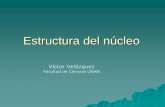 Estructura del núcleo - Instituto de Ciencias Nucleares UNAMbijker/emfn/Velazquez.pdf · Con la medida no es posible distinguir los dos procesos. Postulado de ... el campo promedio