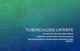 TUBERCULOSIS Y VIH - Centro Nacional de Programas ... · HISTORIA NATURAL DE TB ... PREDICCION DE TUBERCULOSIS ACTIVA POR ESTUDIOS DE TAMIZAJE resultados Pooled estimate of TST I