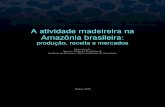 A atividade madeireira na Amazônia brasileira - mma.gov.br · A atividade madeireira na Amazônia brasileira: produção, receita e mercados 4 Lista de Figuras Figura 1. Tipos de