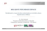 Revitalización y reuso de sitios contaminados en el ámbito ...seminario.ekosbrasil.org/wp-content/uploads/2016/02/Revitalizaci... · CooperaciónAlemanaal Desarrollo-GIZ Mexico