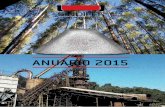 Anuário 2015 - Sindifer · 1 Prezados Associados, Com satisfação apresentamos o Anuário Estatístico de 2015, contemplando os principais os números e índices da indústria do