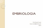EMBRIOLOGIA - colegioamorim.com.br · Mórula Composta por aproximadamente 16 a 32 células (blastômeros). Apesar de ter muitas células, a mórula continua do tamanho do zigoto,